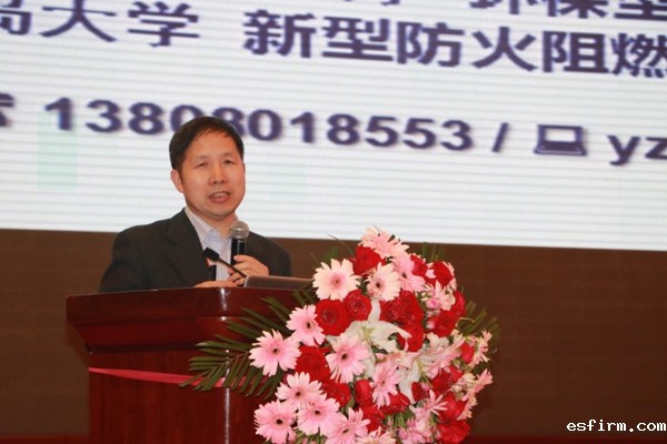 中国工程院院士王玉忠