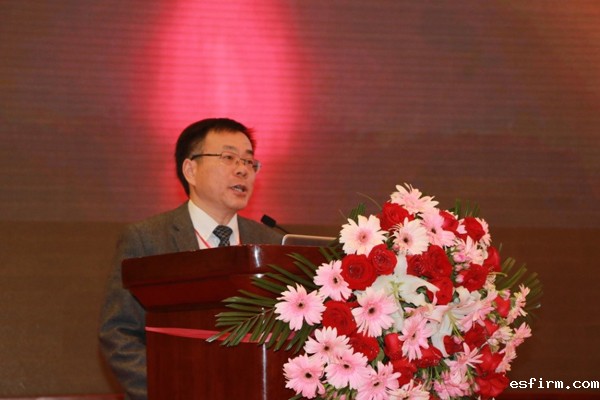 中国商飞上海飞机制造有限公司副总工程师刘卫平