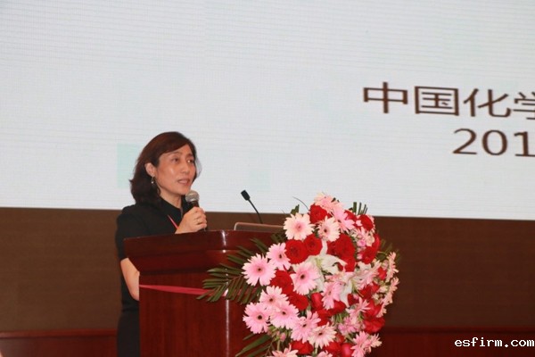 中国化学纤维工业协会副会长王玉萍