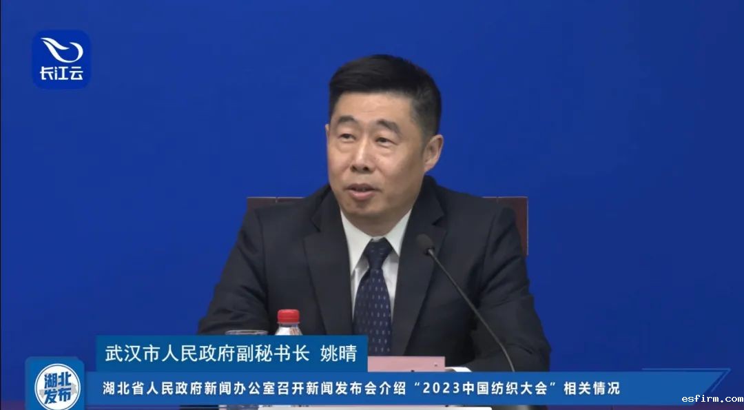 武汉市人民政府副秘书长姚晴