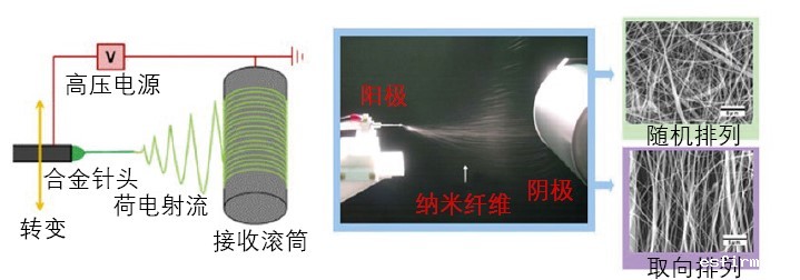 来源：bet伟德娱乐手机版